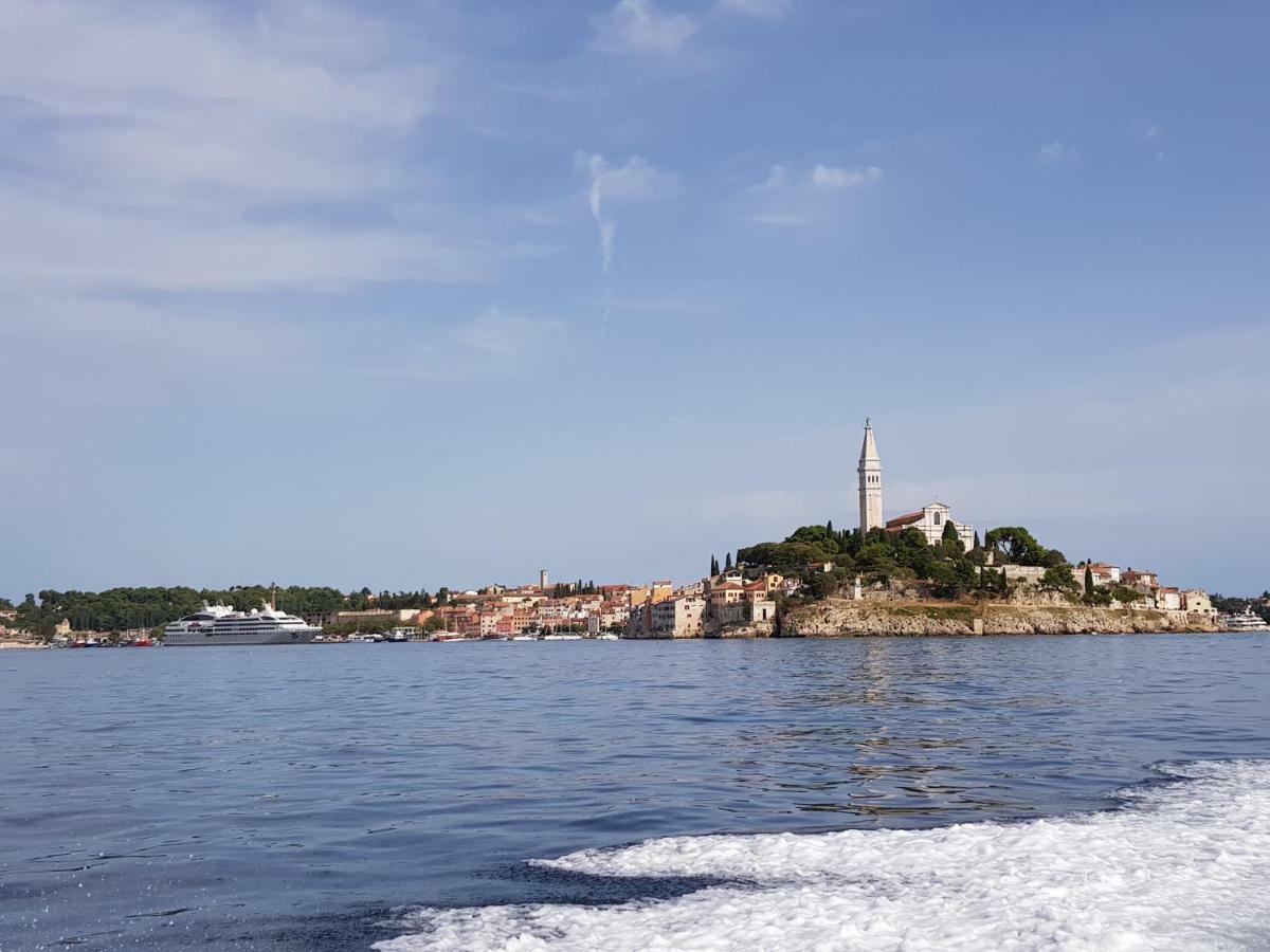 5C Luxury Apartment Rovinj Bagian luar foto